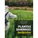 Plantas-daninhas-herbicidas