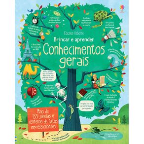 Conhecimentos-gerais-brincar-e-aprender