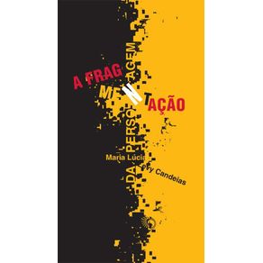 A-fragmentacao-da-personagem