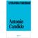 Literatura-e-sociedade