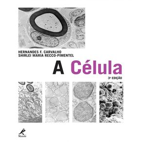 A-celula