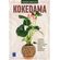 Kokedama---guia-completo