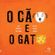 O-cao-e-o-gato
