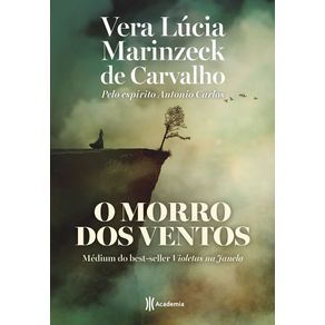 O-morro-dos-ventos