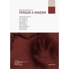 Pensar-a-imagem