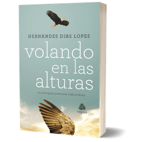 Volando-en-las-alturas-version-en-español