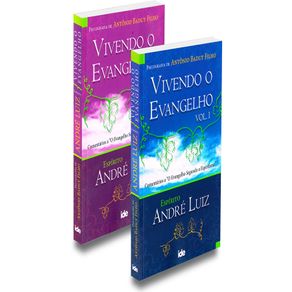 Kit-vivendo-o-evangelho---volumes-1-e-2