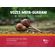 Vozes-mbya-guarani-na-educacao-musical-escolar