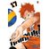 Haikyu---vol-17---big