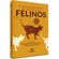 Procedimentos-cli-nicos-em-felinos