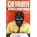 Chernobyl-o-fim-do-sonho-nuclear