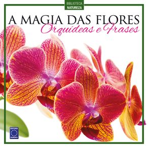 A-magia-das-flores---orquideas-e-frases