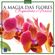 A-magia-das-flores---orquideas-e-frases