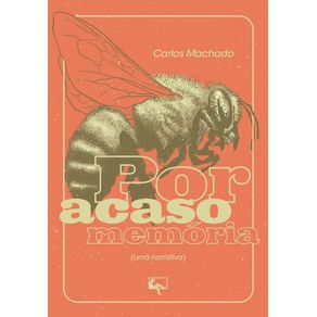 Por-acaso-memoria