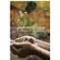 Agroecologia-e-educacao-do-campo---volume-2