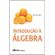 Introducao-a-algebra