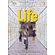 Life---level-2---split-b-with-the-spark-platform-–-3rd-ed-stephenson