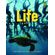 Life---level-3---split-a-with-the-spark-platform---3rd-ed-stephenson