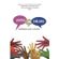 Libras-em-dialogo---interfaces-com-o-ensino