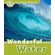 Wonderful-water-ord-3