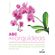 O-abc-das-orquideas