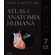 Netter---atlas-de-anatomia-humana---07-ed-especial-com-netter-3d