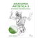 Anatomia-artistica-3-o-esqueleto---marcadores-osseos