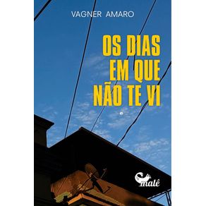 Os-dias-em-que-nao-te-vi