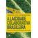 Laicidade-colaborativa-brasileira-a