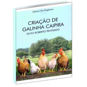 Criacao-de-galinha-caipira