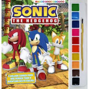 Sonic---livro-para-pintar-com-aquarela