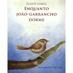 Enquanto-joao-garrancho-dorme---com-braile
