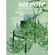 Serrote---nº-46
