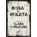 Rosa-e-violeta