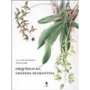 Orquideas-da-chapada-diamantina