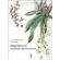 Orquideas-da-chapada-diamantina