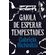 Gaiola-de-esperar-tempestades