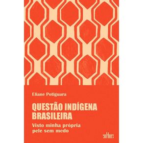 Questao-indigena-brasileira