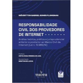 Responsabilidade-civil-dos-provedores-de-internet